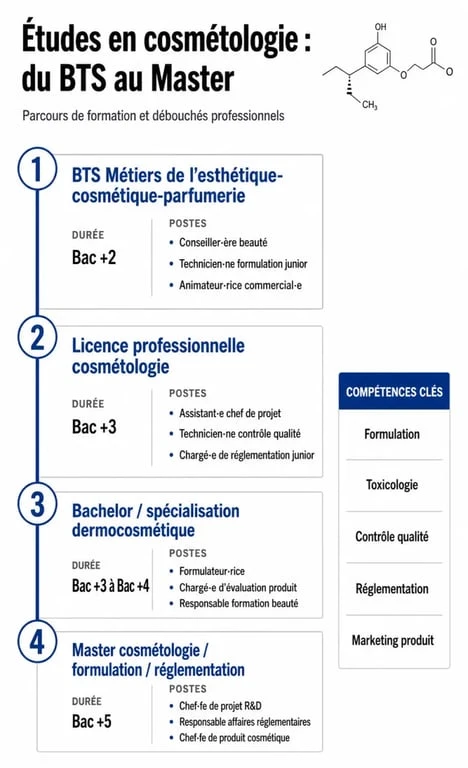 Infographie des parcours d'études et débouchés en cosmétologie
